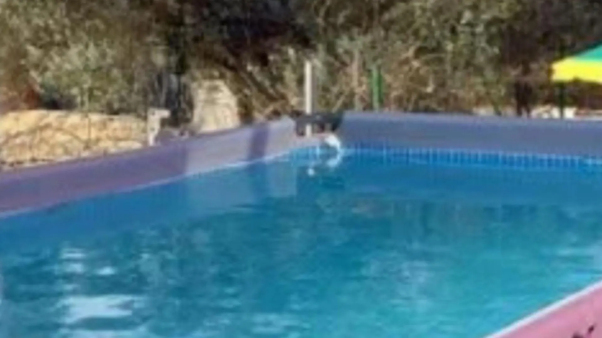 Holiday Home Village Paradise Murvica