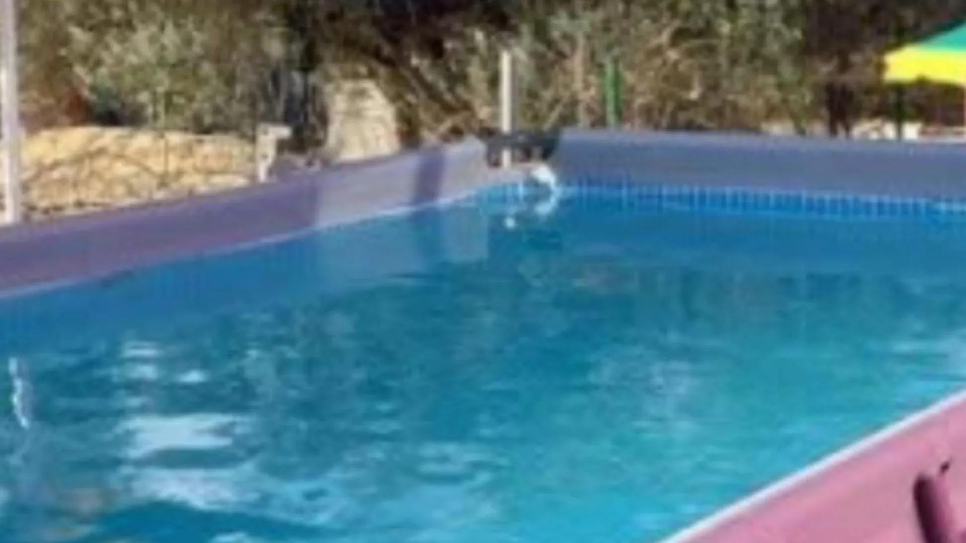 Holiday Home Village Paradise Murvica  0*, Murvica (Policnik)